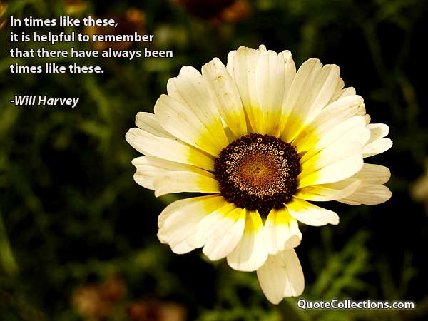 Will Harvey Quotes4